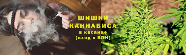 Альфа ПВП Гусь-Хрустальный