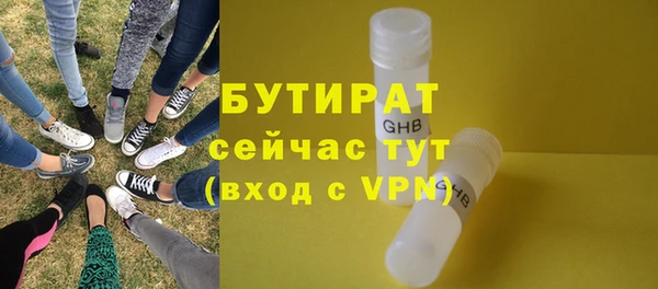 твердый Гусев