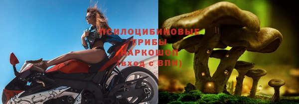 твердый Гусев
