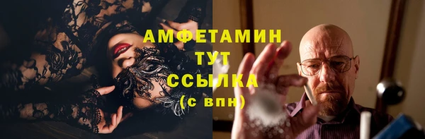 твердый Гусев