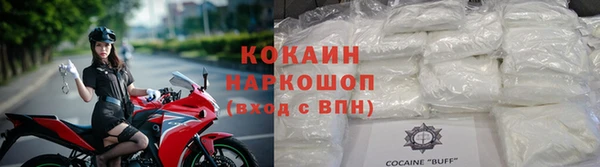 твердый Гусев