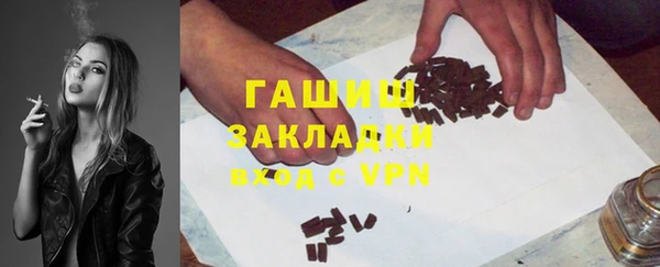 твердый Гусев
