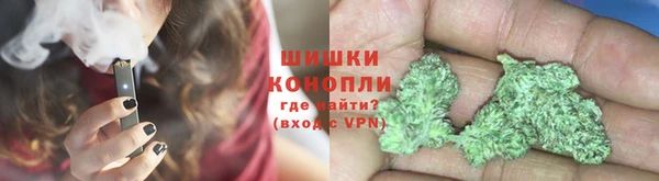 твердый Гусев