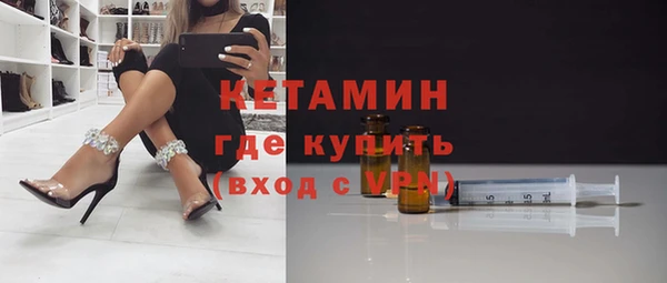 шишки Горняк