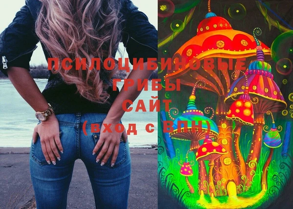 твердый Гусев