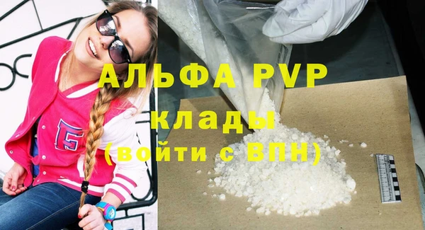 твердый Гусев