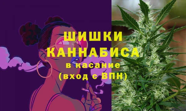 Альфа ПВП Гусиноозёрск