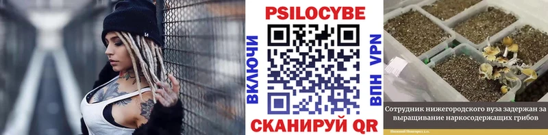Псилоцибиновые грибы Psilocybine cubensis  Купить где  Нытва 